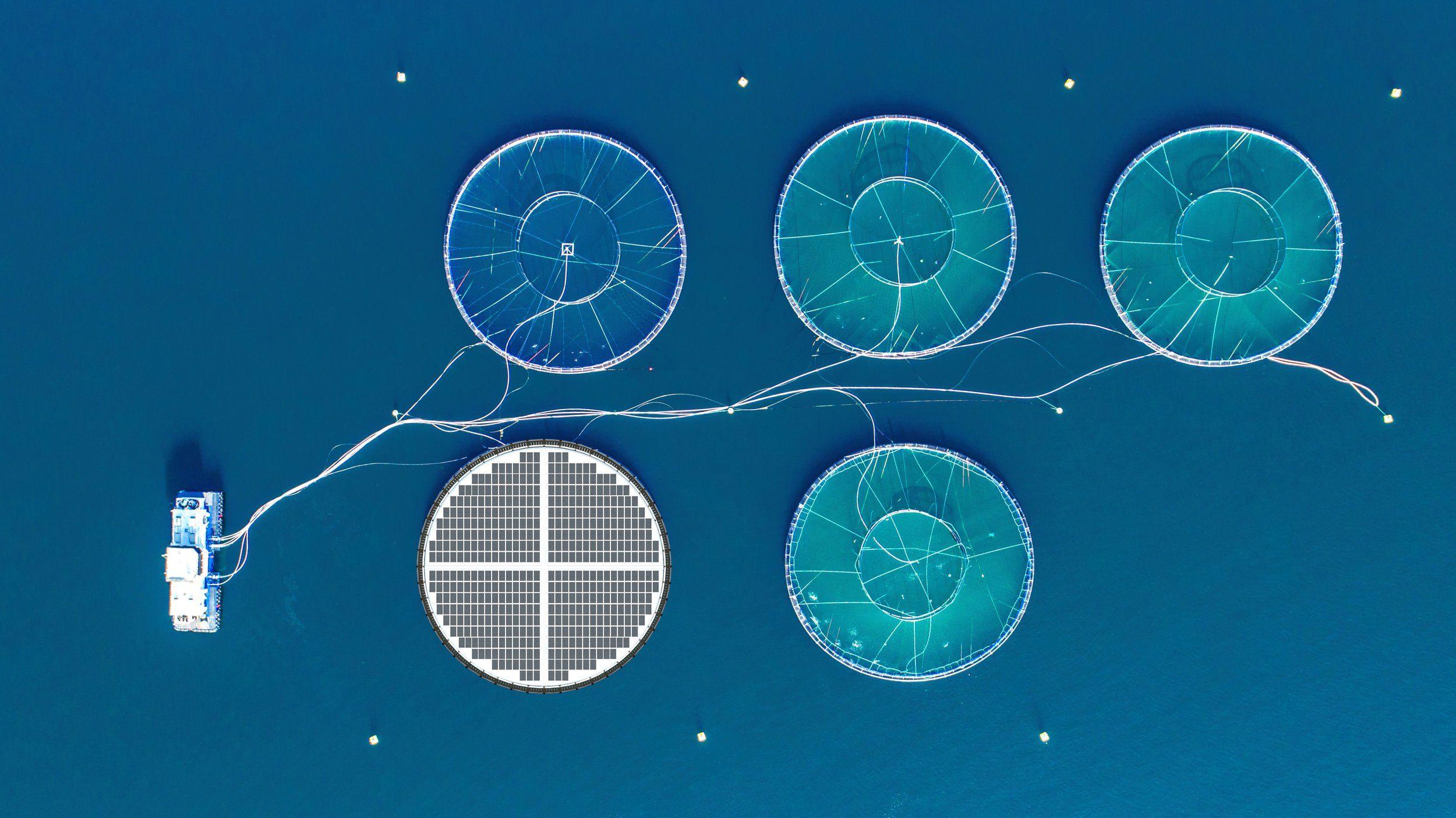 Inseanergy flytende solceller