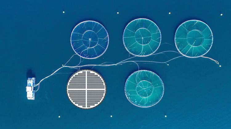 Inseanergy flytende solceller